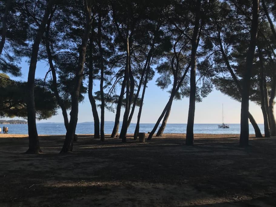 Appartement Plage Piscine Et Tennis Inclus La Londe-les-Maures Exterior photo